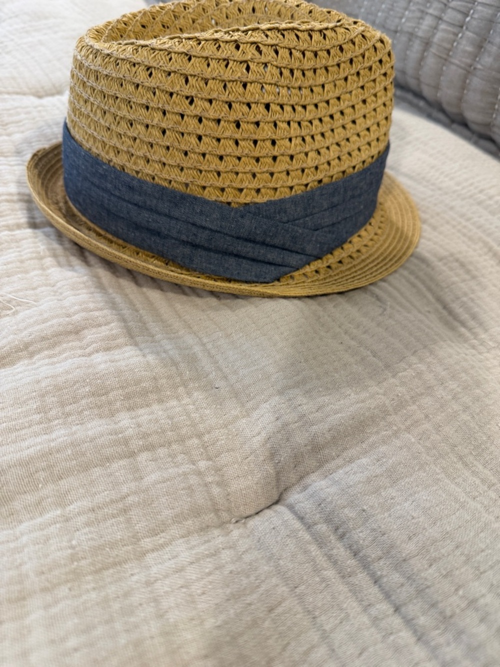 Stylish Straw Fedora with Blue Band - Men Accessories- Target